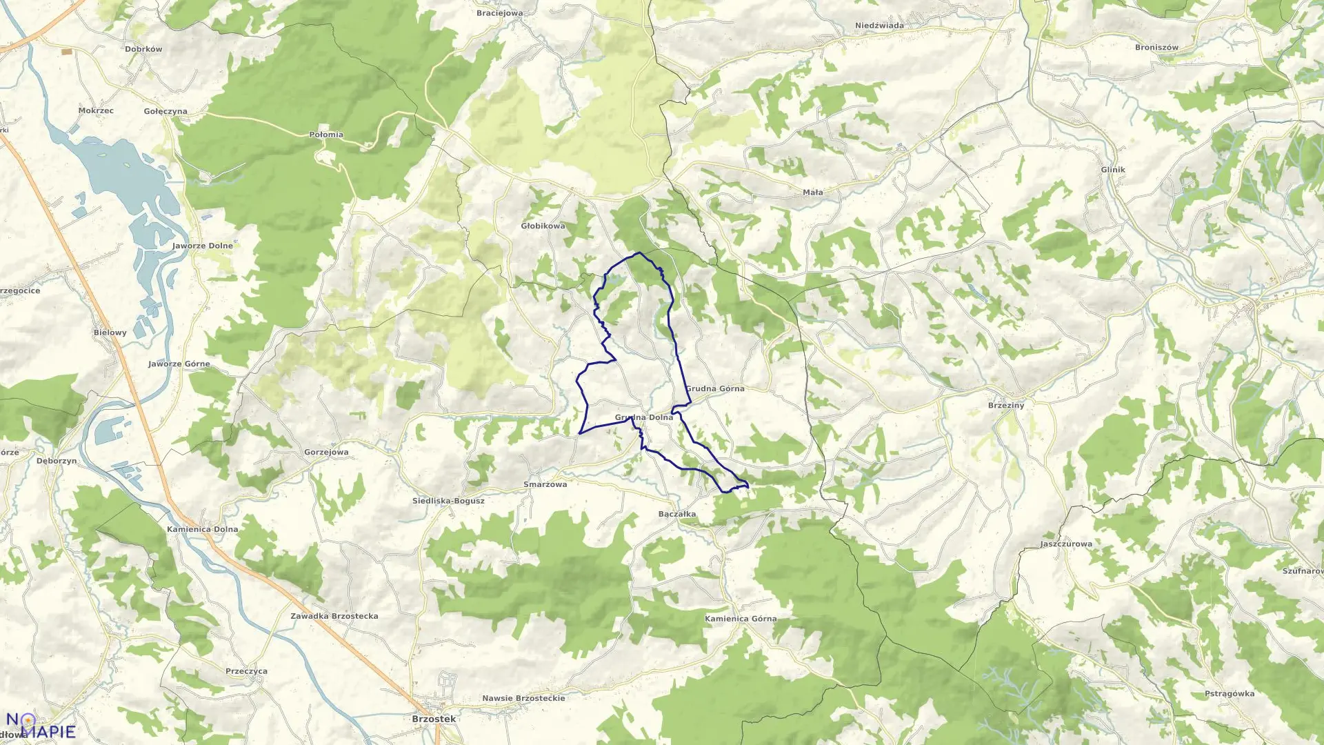 Mapa obrębu Grudna Dolna w gminie Brzostek