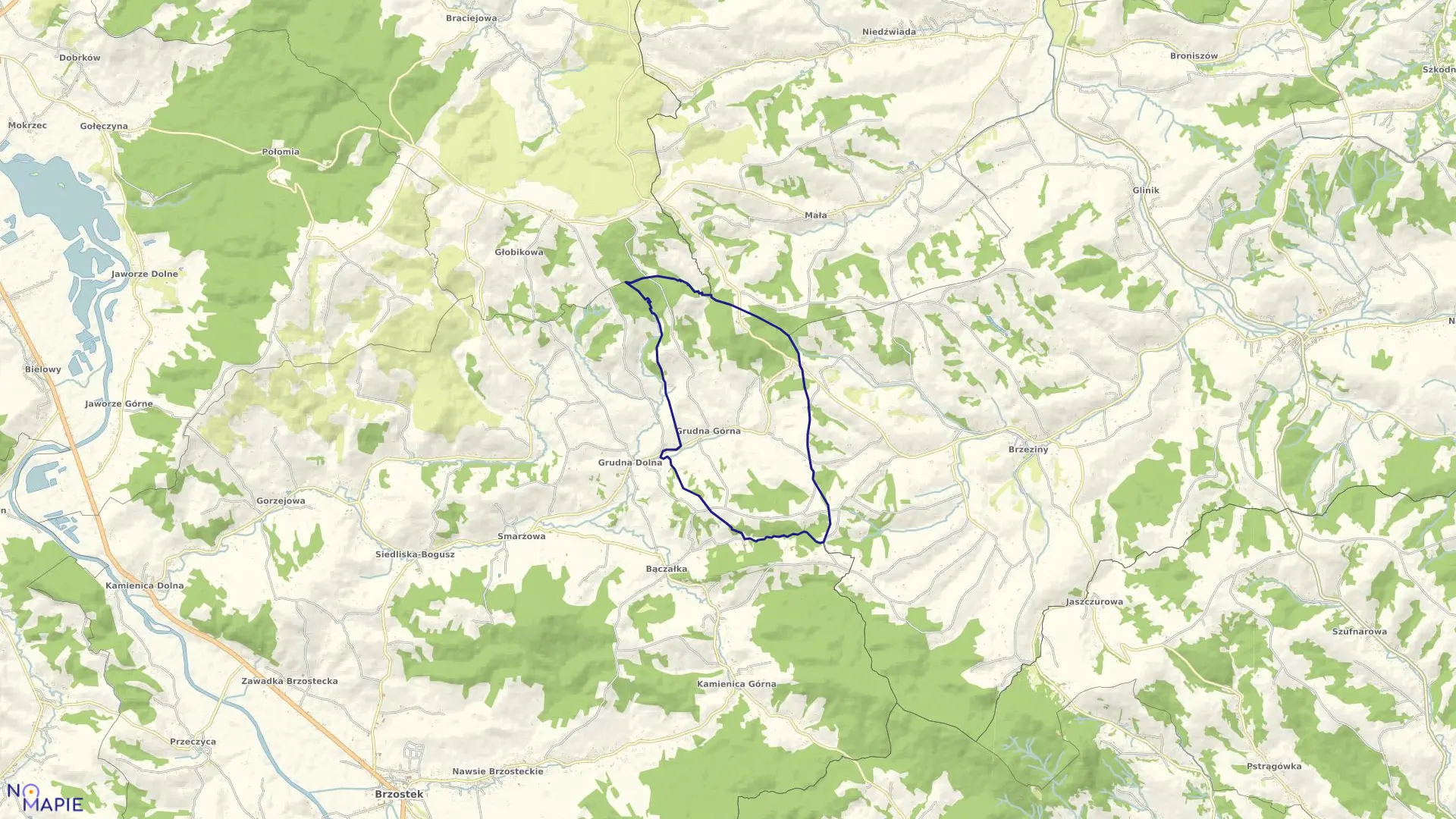 Mapa obrębu Grudna Górna w gminie Brzostek