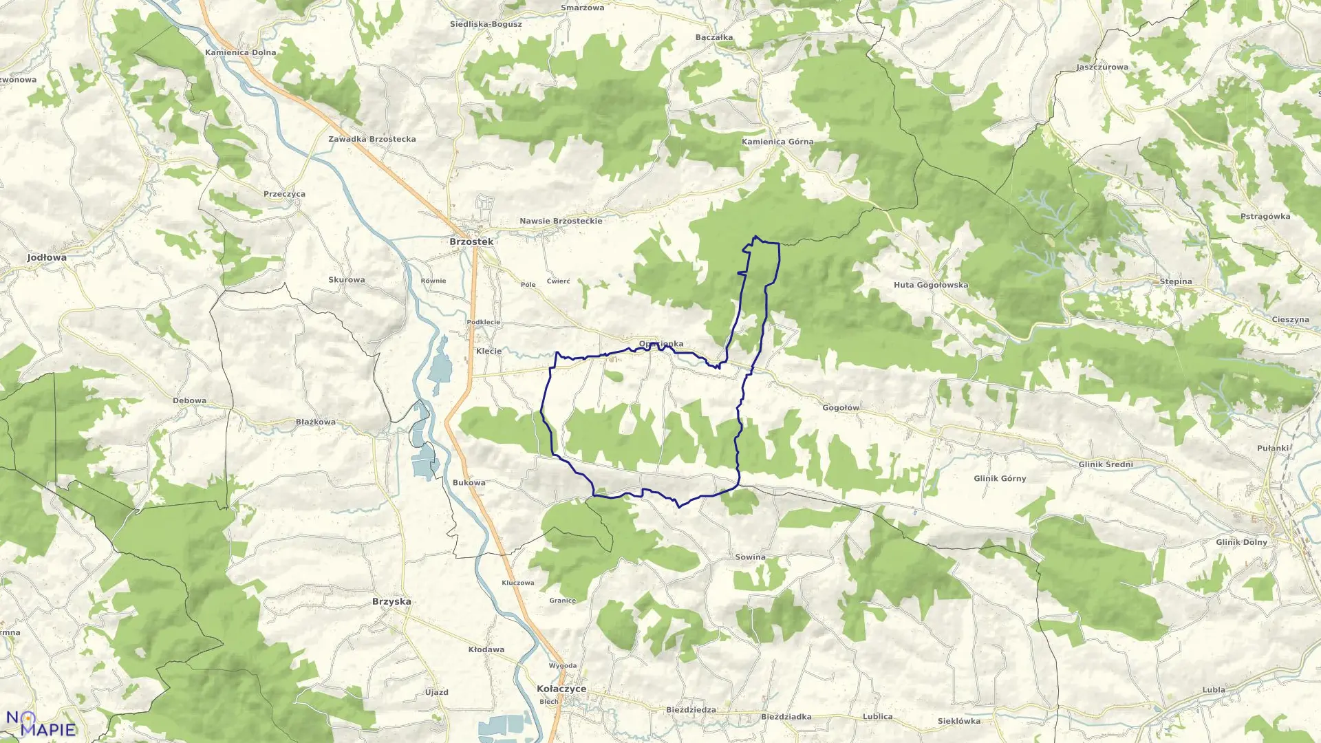 Mapa obrębu Januszkowice w gminie Brzostek